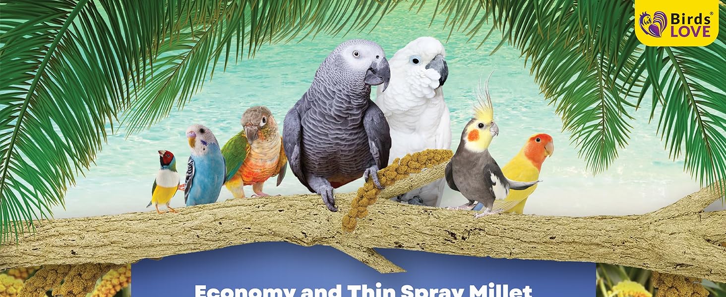 Birds LOVE Spray Millet info
