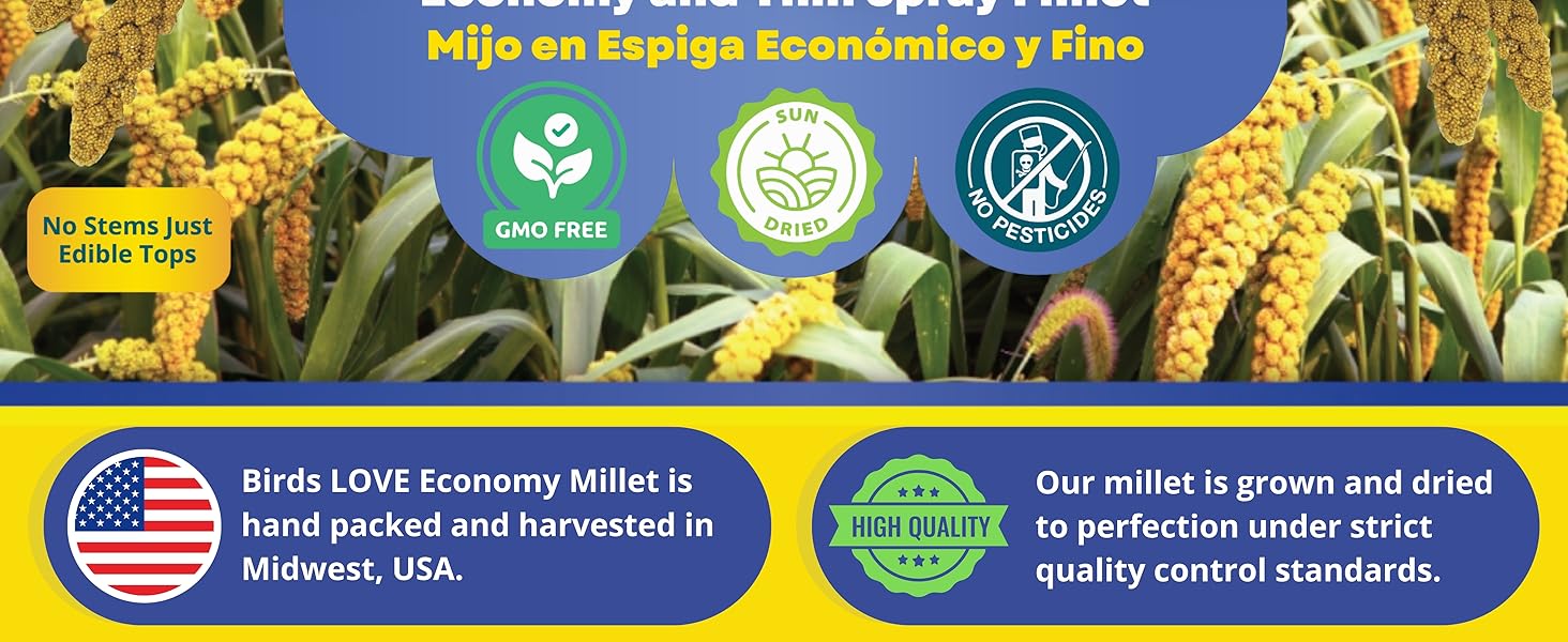 Birds LOVE Spray Millet info