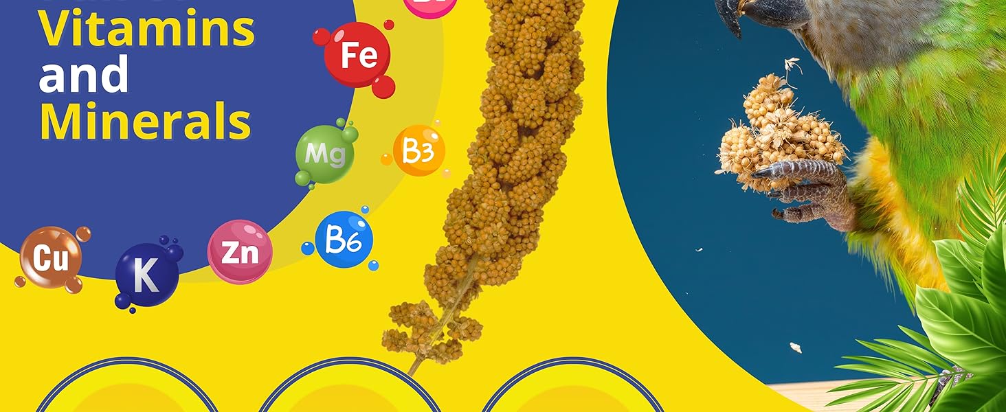 Birds LOVE Economy Special Spray Millet Info