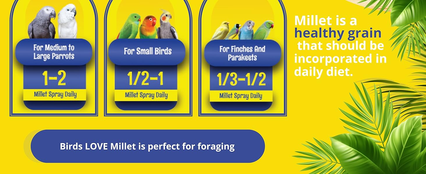 Birds LOVE Economy Special Spray Millet Info